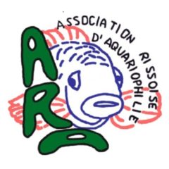 http://morrison.fr/ara91/wp-content/uploads/2017/03/cropped-logosite512.jpg